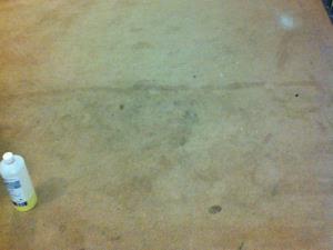 Carpet Cleaning (1 of 2) - A heavily stained carpet in need of cleaning at a retirement home in Blackburn