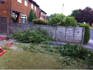 Garden tidy up in progress for a rental property in the Preston area, ready for new tenants Photo - Garden tidy up in progress for a rental property in the Preston area, ready for new tenants
